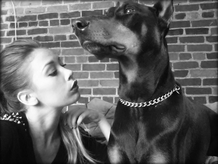 blog-chien-mon-amour
